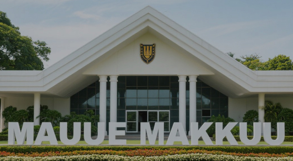 Public universities